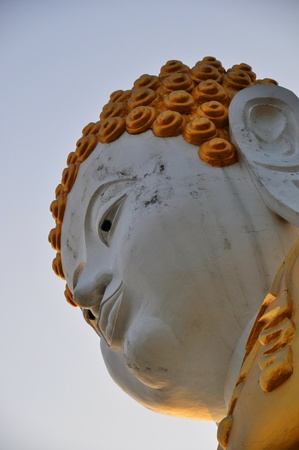 The Buddhaの写真素材