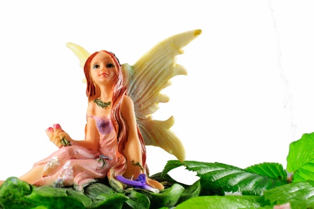 summer fairy on white backgriundの写真素材