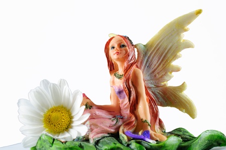 summer fairy on white backgriundの写真素材