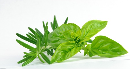 fresh tomata basilicumの写真素材