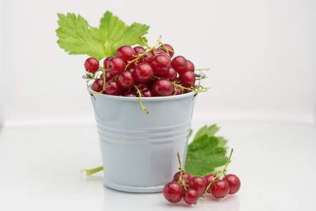 organic fresh delicious redcurrant berryの写真素材
