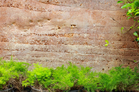 stone textured backgrounds in a room interior on the grass backgroundsの写真素材