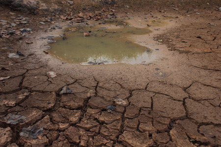 dry land in the cracks, backgroundの写真素材