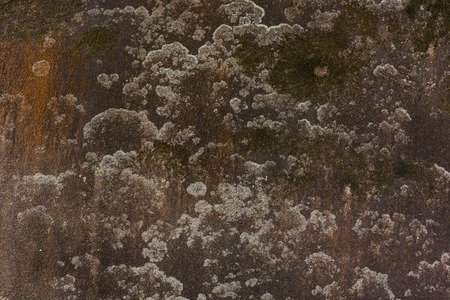 pattern of decorative white slate stone wall surfaceの写真素材