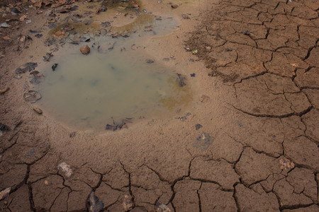dry land in the cracks, backgroundの写真素材