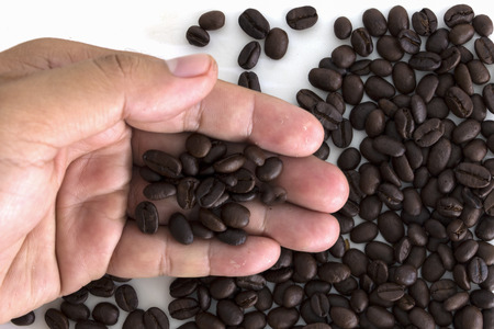 Many coffee beans on hand on white backgroundの写真素材