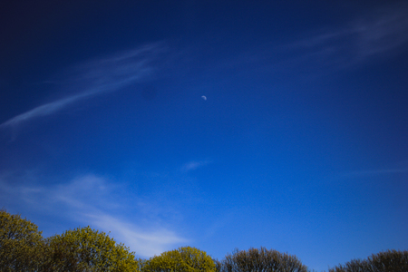 An image of the first-quarter moon in blue sky,の写真素材