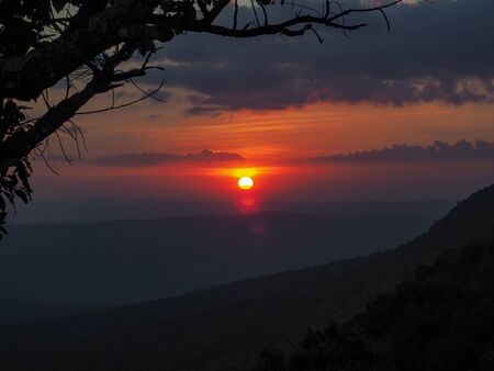 silhouette pine tree sunset mountainの写真素材