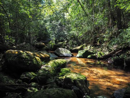 Mountain River with forest landscape. waterfall scenery in the middle of green forestの写真素材