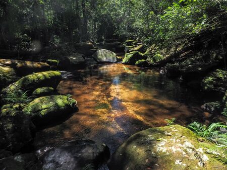 Mountain River with forest landscape. waterfall scenery in the middle of green forestの写真素材