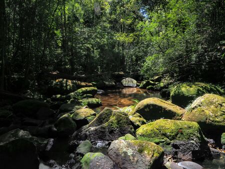 Mountain River with forest landscape. waterfall scenery in the middle of green forestの写真素材
