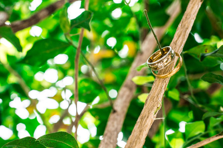 Two rings on the tree.