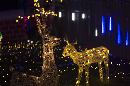 Beautiful display Christmas light.の写真素材