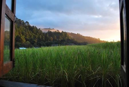 first light in the morning everyday, it have ozone for you need の写真素材