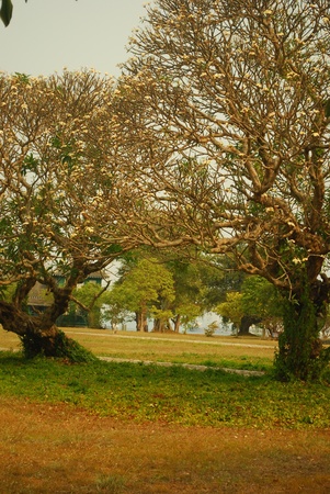 Landmark in srichang island 4の写真素材
