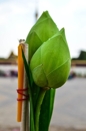 lotus and incense during a Buddhist の写真素材