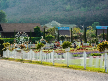 Silverlakevineyard, Chonburi east of Thailand のeditorial素材
