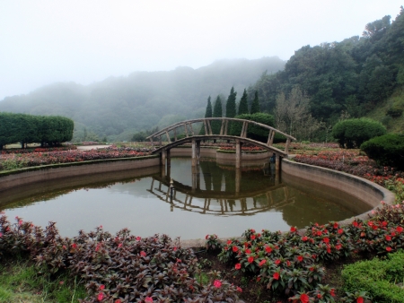 Garden on mountain at Doi InTtha Non in Chang maiの写真素材