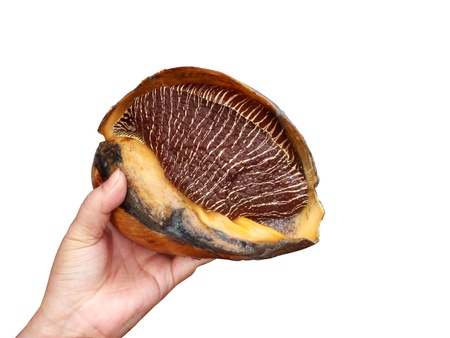 Womenの写真素材