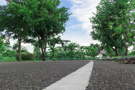 A low angle shot of a fitness park overlooking the road and lined with green trees on both sides. Can be used in work related to the environment or work related to the gym.の写真素材