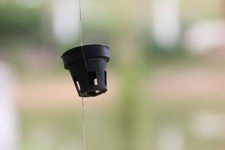 Black small plant pot hangs on a thin wireの写真素材