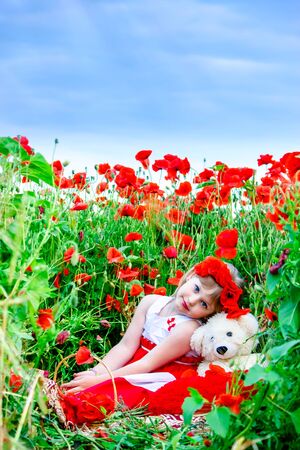 girl in poppy field sitting with a teddy bearの写真素材