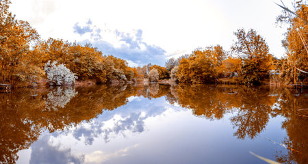 Mirror panorama of a small lake. trees on the shore. fallの写真素材