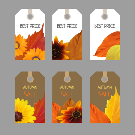 Bright set of stickers for seasonal sale with yellow, orange, red autumn leaves and autumn colors, template, illustrationのイラスト素材