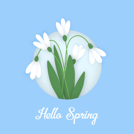 Spring Banner with colored paper flowers in circle and inscription. Flowers white snowdrops with leaves growing out of the snow against the sky. Vector illustrationのイラスト素材