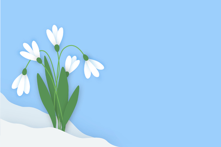 Spring horizontal banner with colored paper flowers with space for your text. Flowers white snowdrops with leaves growing out of the snow against the sky. Vector illustrationのイラスト素材