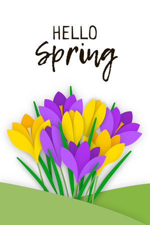 Spring Banner with colored paper flowers and an inscription. Flowers yellow and purple crocuses with leaves grown on grass isolated on white background.のイラスト素材