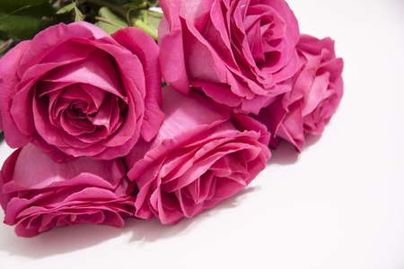 Romantic background of a bouquet of pink roseの写真素材