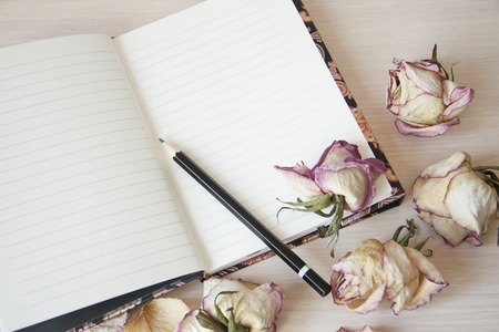 Romantic horizontal banner on lightの写真素材