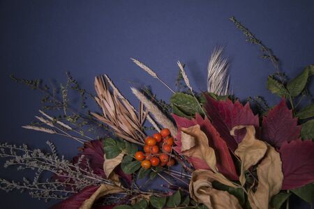 Romantic autumn composition on a dark background flatlay.の写真素材