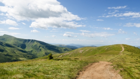 Carpathian Mountains in Ukraineの写真素材