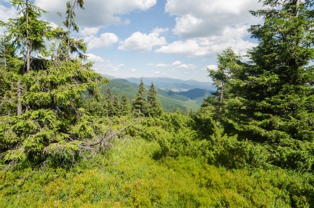 Carpathian Mountains in Ukraineの写真素材