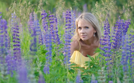 Young beautiful woman in the lupine field の写真素材