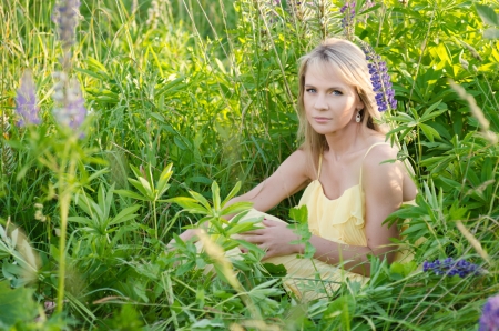Young beautiful woman in the lupine field の写真素材