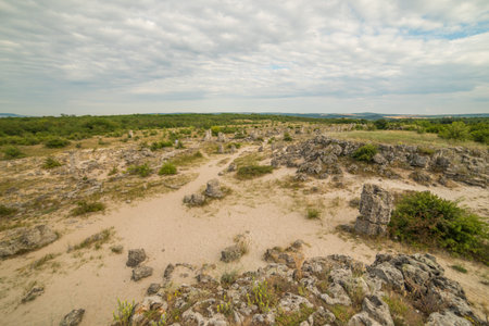 Stone Forest Pobiti Kamani next to Varna, Bulgaria