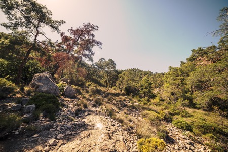 Yanartas, flaming stone, geographical feature near the Olympos valley and national park in Antalya Province, southwestern Turkeyの写真素材