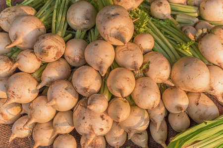 Turnips in the market