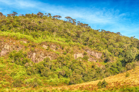 Sri Lanka: highland Horton Plains National Park