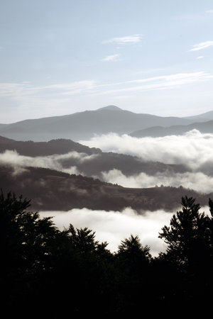 This captivating image captures a tranquil morning scene where rolling mountain ridges and valleys are veiled in a delicate layer of mist. The soft light of dawn illuminates the landscape, creating a dreamlike atmosphere that emphasizes the natural beauty and serenity of the mountains. The subtle gradients of the mist and the silhouettes of the trees in the foreground add depth and contrast to the scene, making it an ideal depiction of peaceful and untouched wilderness.の写真素材