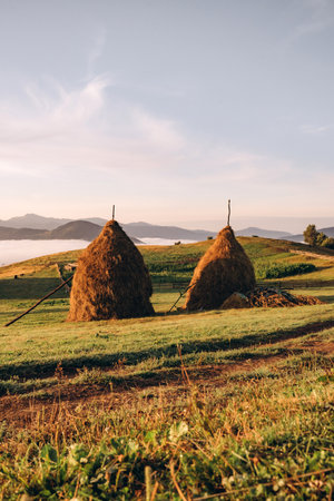 Golden Morning Light on Haystacks in a Mountain Field with Misty Valleys Beyondの写真素材