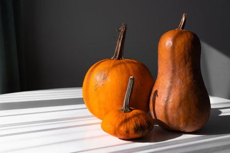 Three Different Pumpkins on a White Table in Natural Lightの写真素材