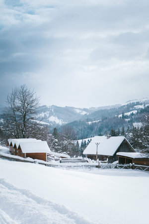 Snow-Covered Path Leading to Rural Homes in a Winter Mountain Landscape