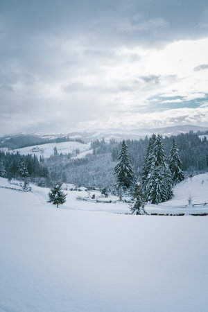 Snow-Covered Path Leading to Rural Homes in a Winter Mountain Landscapeの写真素材