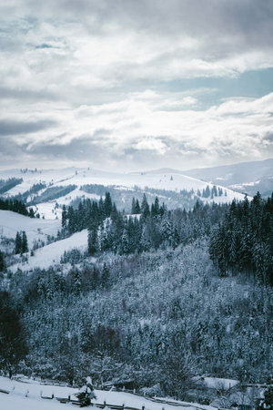 Snow-Covered Forested Hills and Mountainous Landscape on a Winter Dayの写真素材