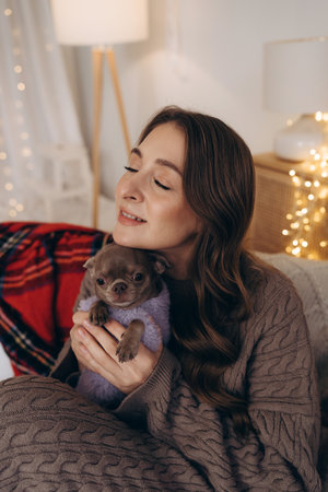 Young woman bonding with her Chihuahua dog during the Christmas seasonの写真素材