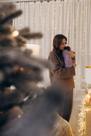 Woman holding a Chihuahua puppy near Christmas lights in a cozy settingの写真素材